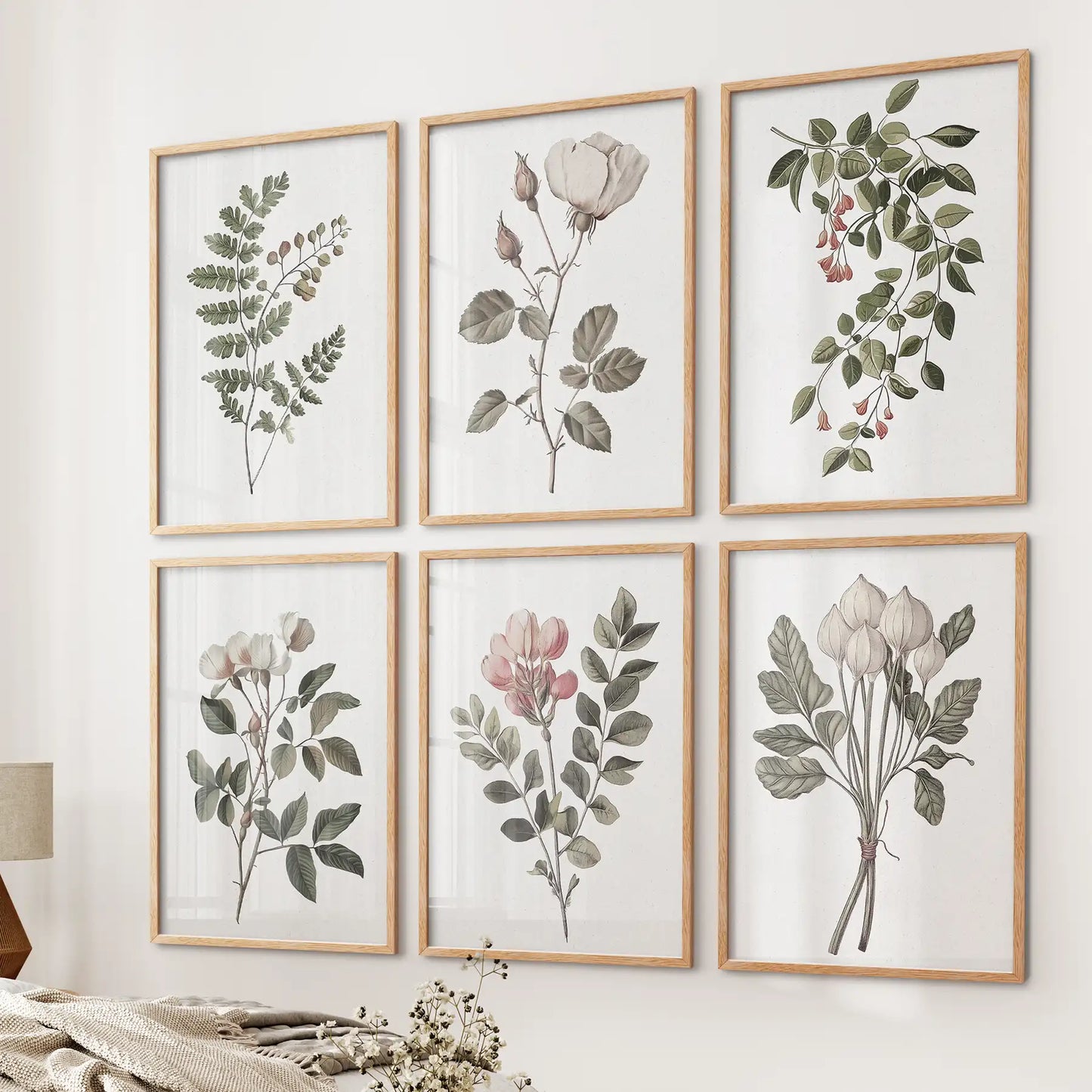 Cotton Flower, Rose Vintage Art. Botanical Print Set of 6