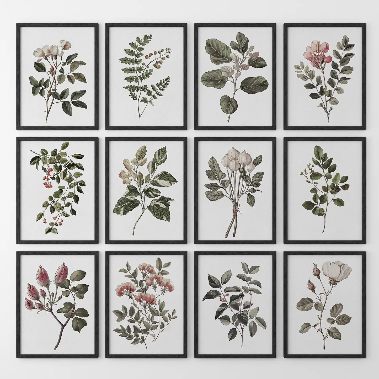 Magnolia, Fuchsia, Fig Plant Prints. Green Set of 12 Wall Art