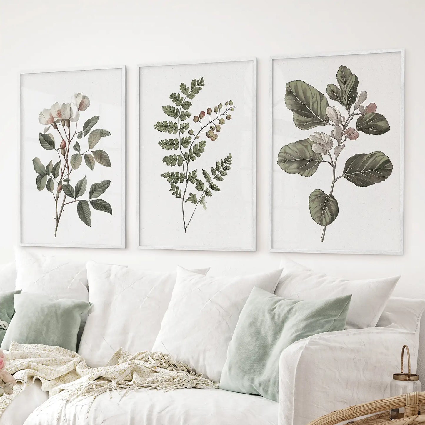 Minimalist Lithographic Plants Prints. 3 Piece Botanical Art