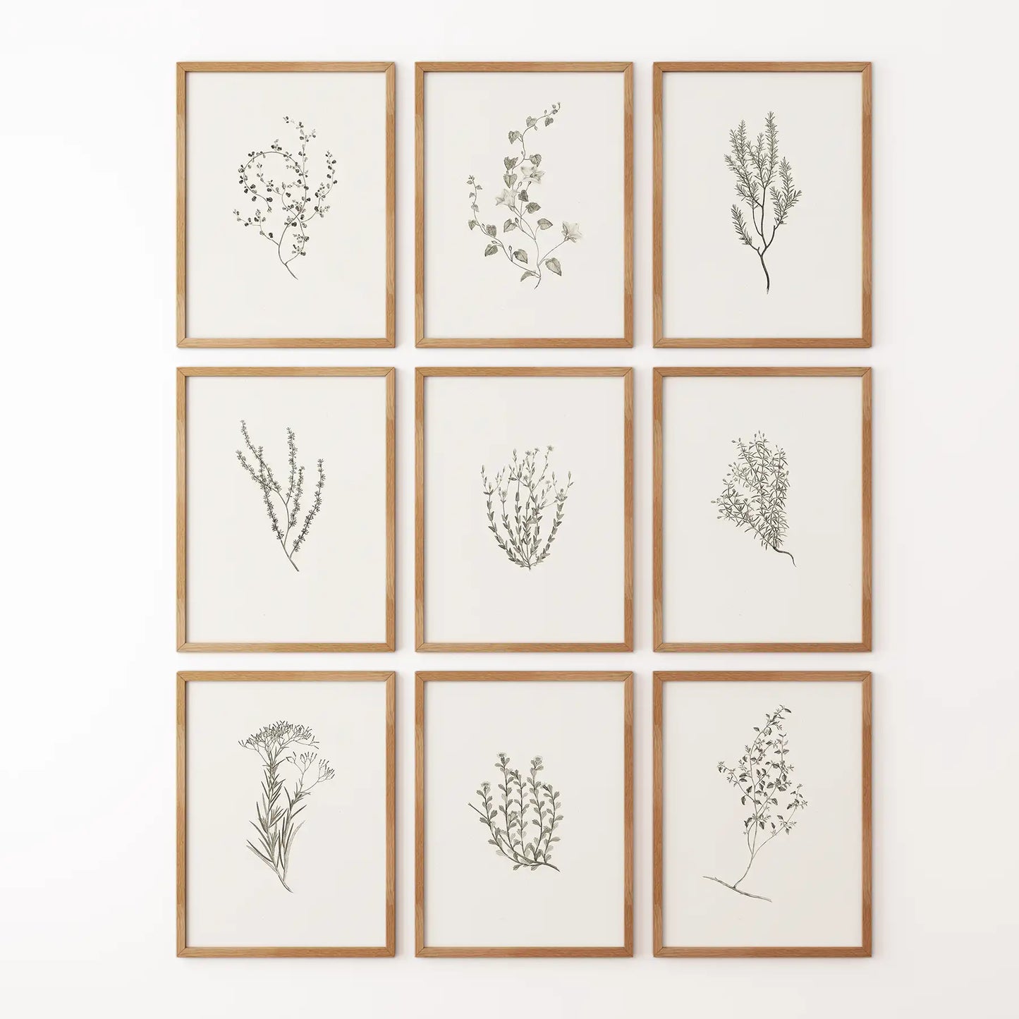 Botanical Wall Art Set of 9. Vintage Herbal Plant Prints