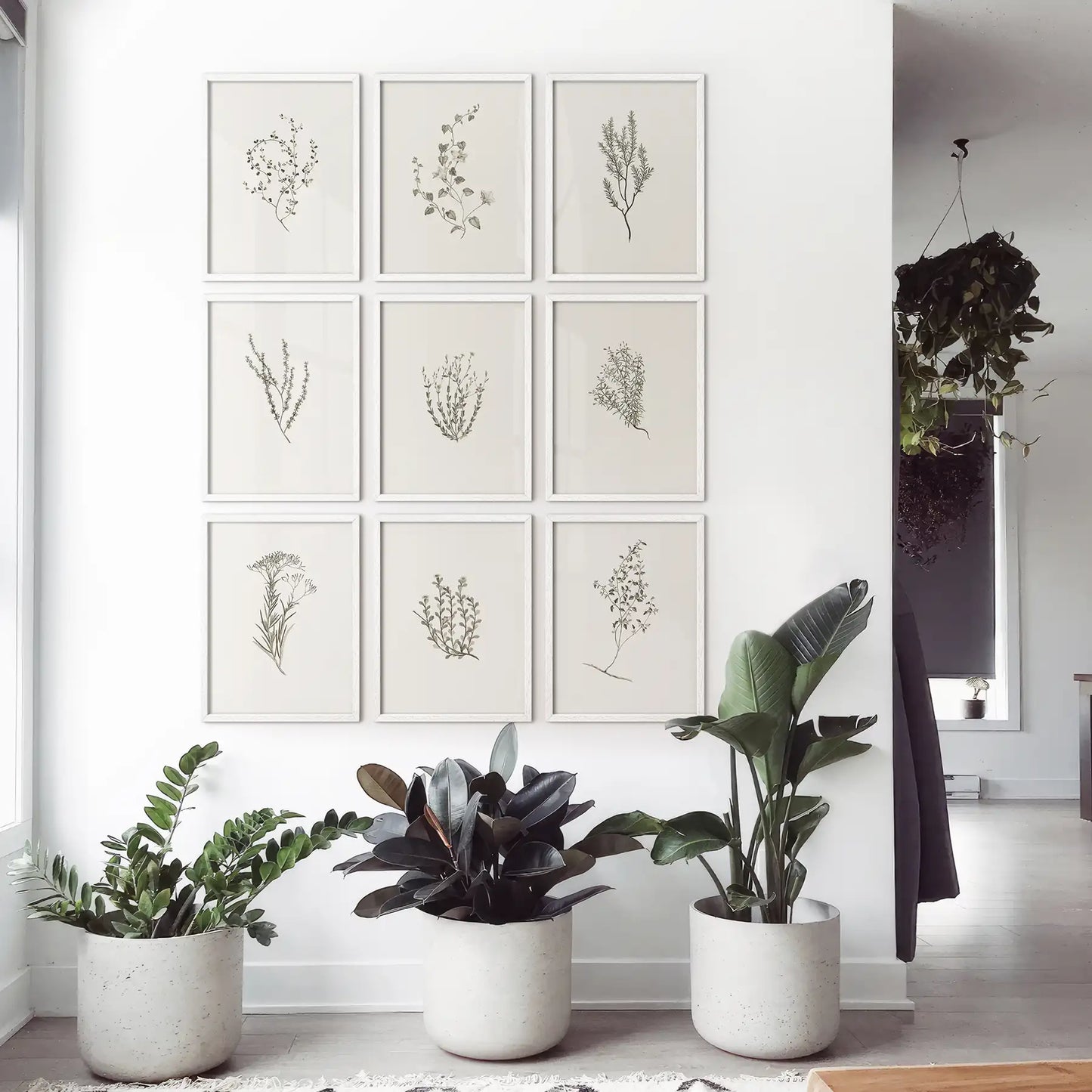 Botanical Wall Art Set of 9. Vintage Herbal Plant Prints