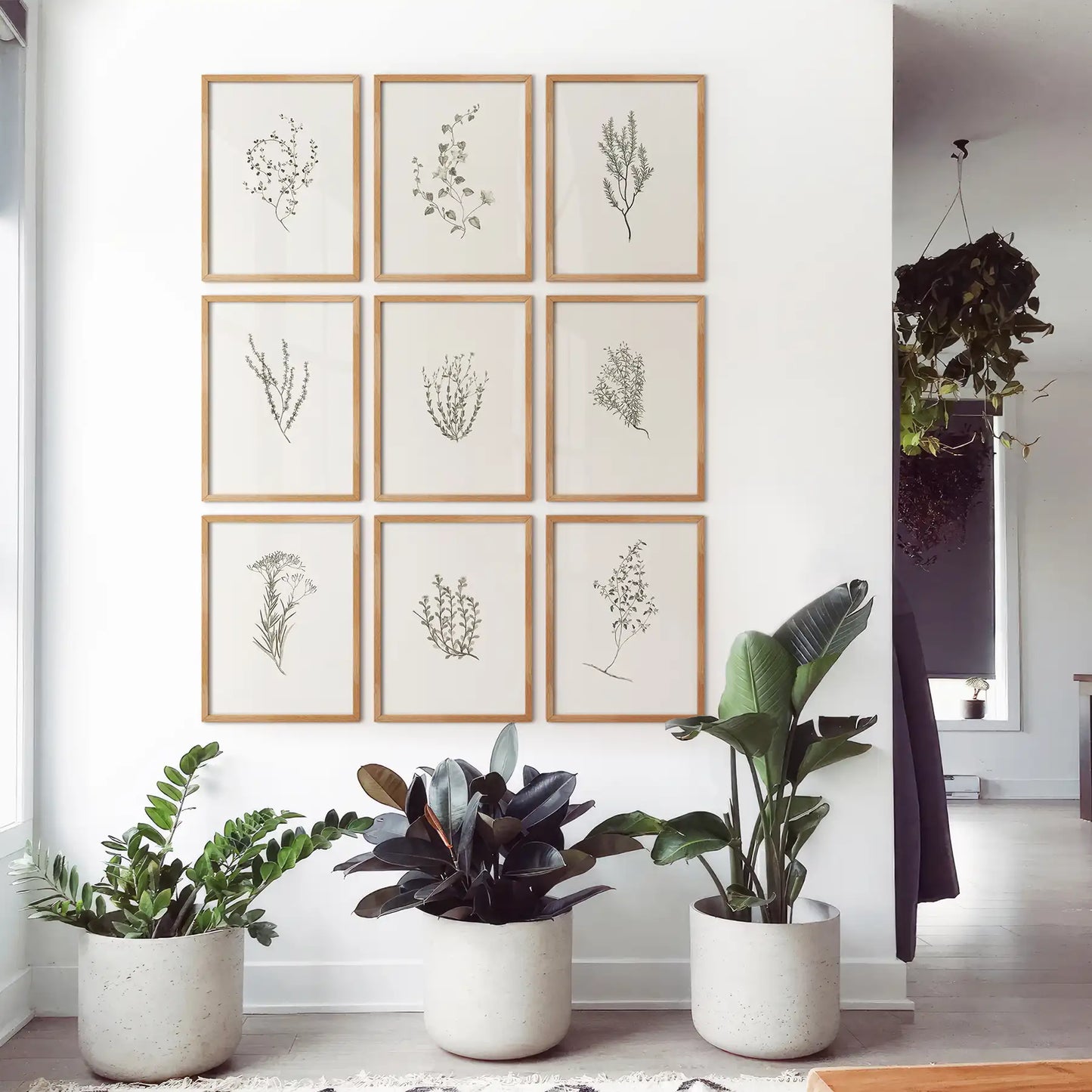 Botanical Wall Art Set of 9. Vintage Herbal Plant Prints