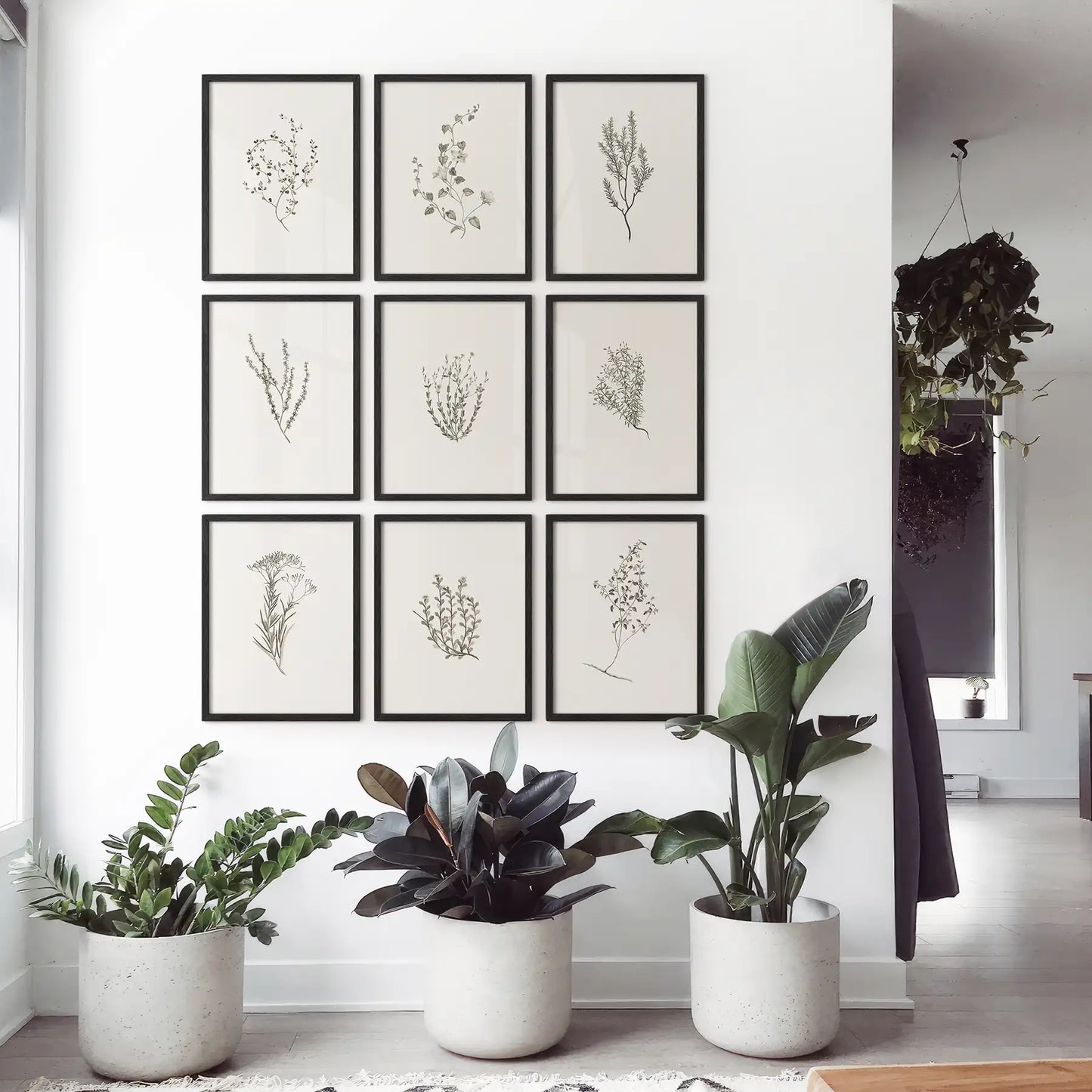 Botanical Wall Art Set of 9. Vintage Herbal Plant Prints
