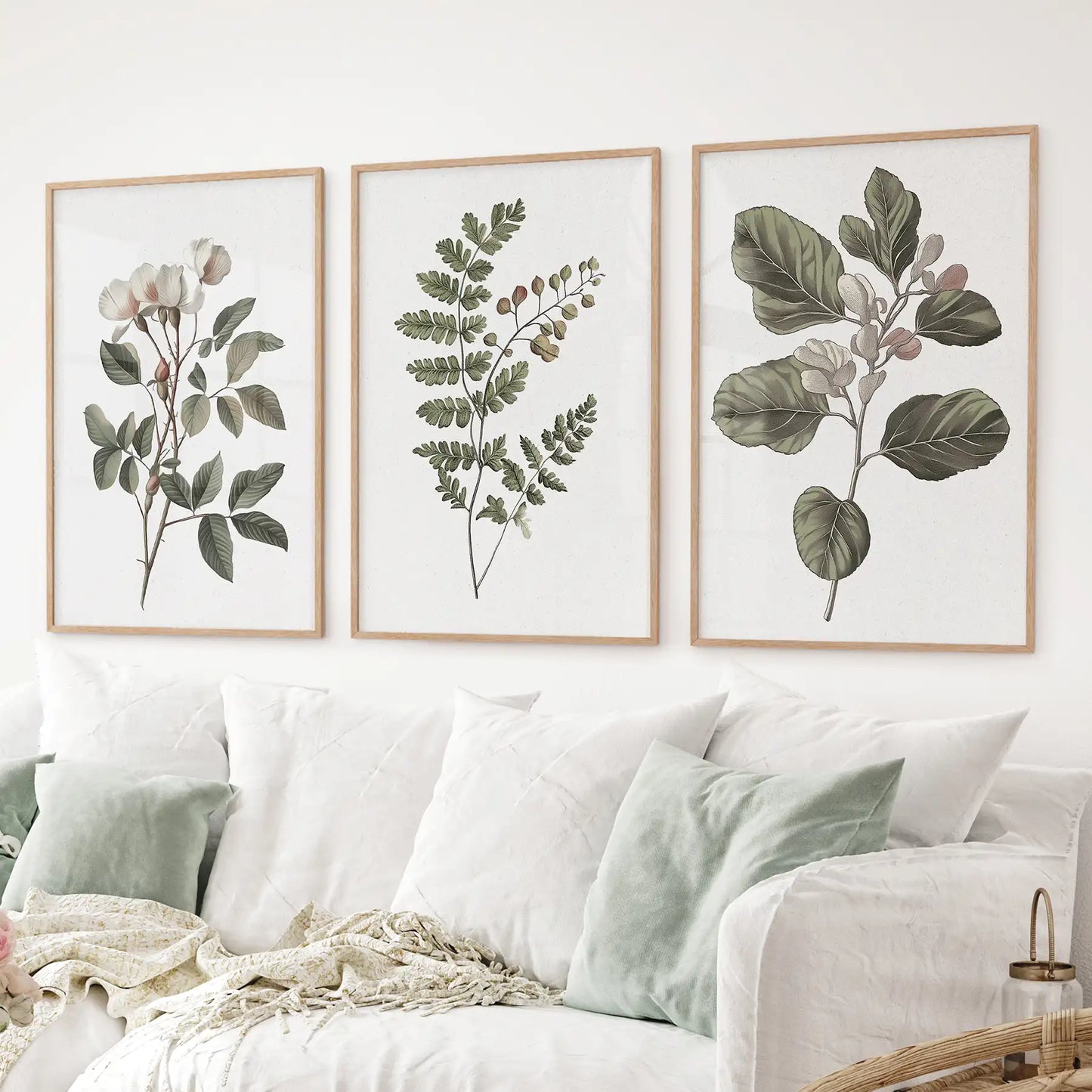 Minimalist Lithographic Plants Prints. 3 Piece Botanical Art