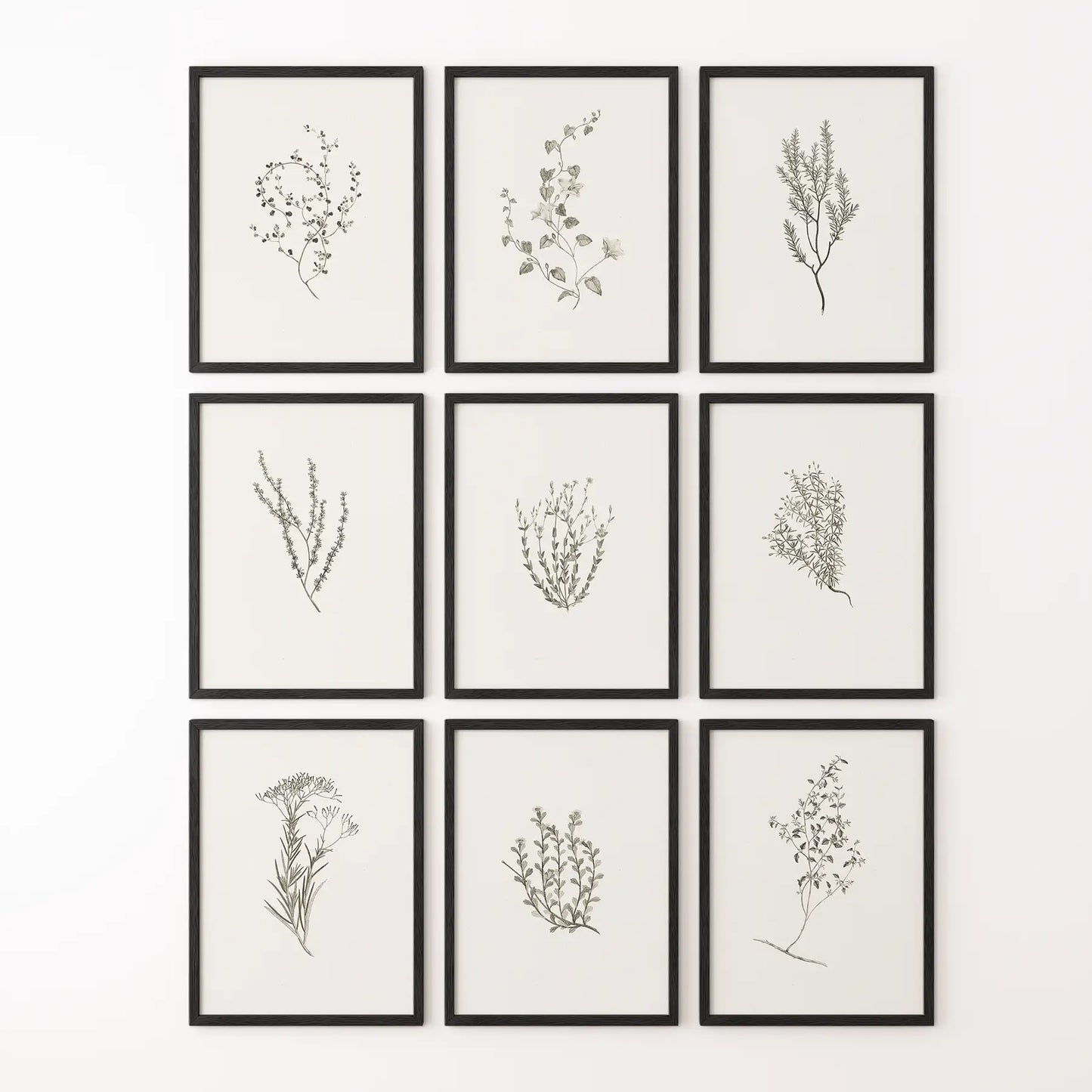 Botanical Wall Art Set of 9. Vintage Herbal Plant Prints