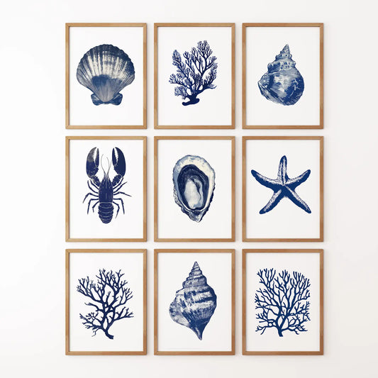 Set of 9 Coastal Prints. Lobster, Starfish, Seaweed, Shell