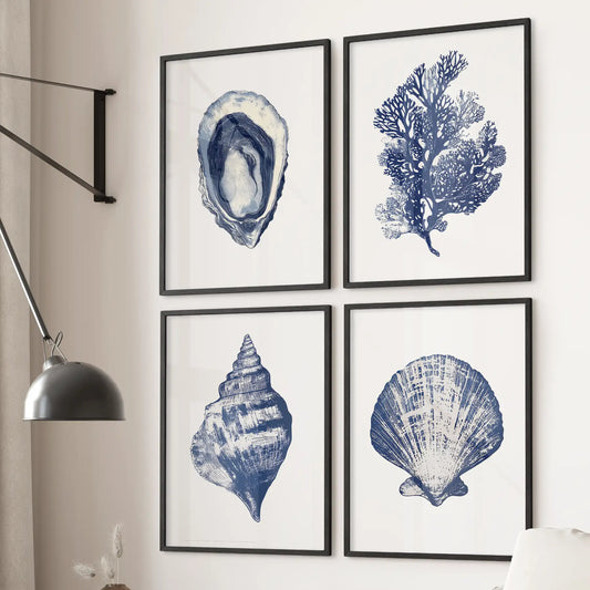 Nautical Art Seashell, Coral Prints. Set of 4 print