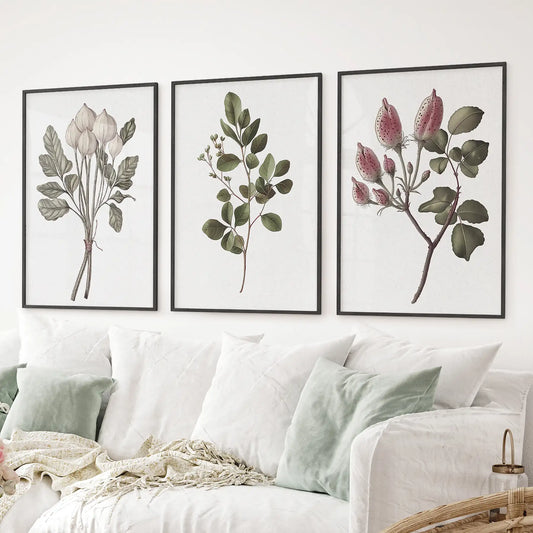 Rustic Botanical Print Set of 3. Vintage Flowers Wall Art