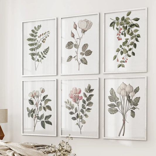 Cotton Flower, Rose Vintage Art. Botanical Print Set of 6