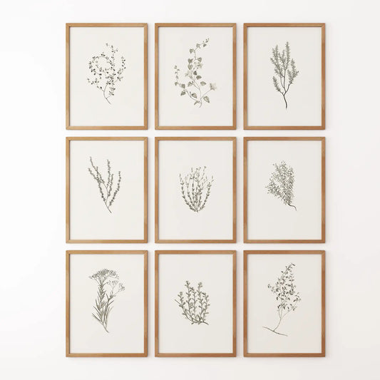 Botanical Wall Art Set of 9. Vintage Herbal Plant Prints