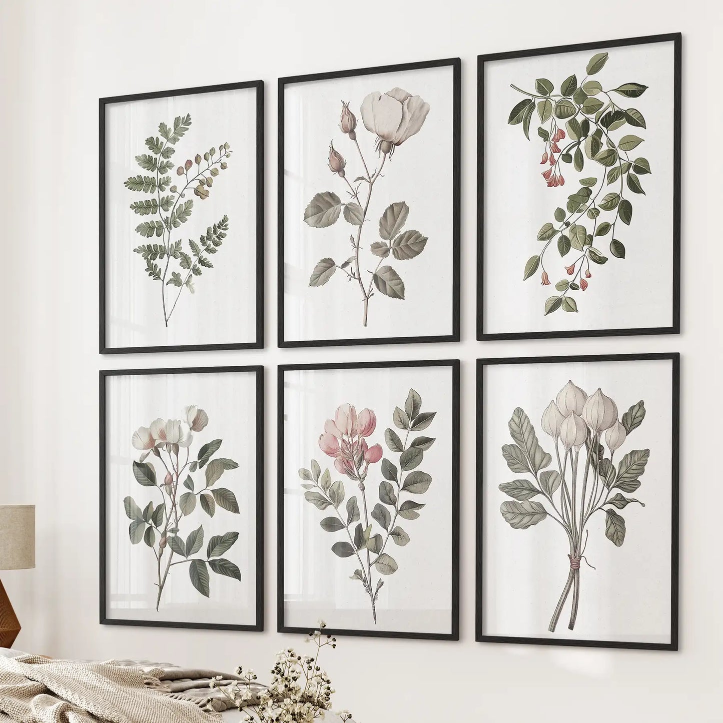 Cotton Flower, Rose Vintage Art. Botanical Print Set of 6