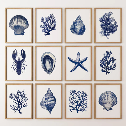 Bundle Coral, Shell, Lobster Wall Art. Set of 12 Artwork