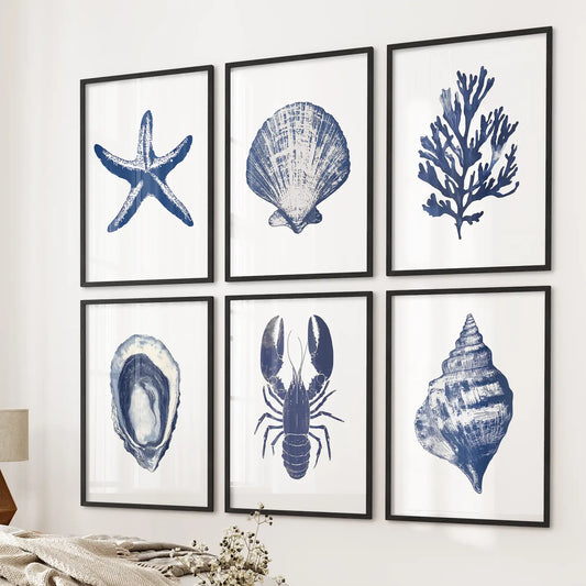 Coastal Set of 6 Art Prints. Shell, Lobster, Starfish, Seaweed