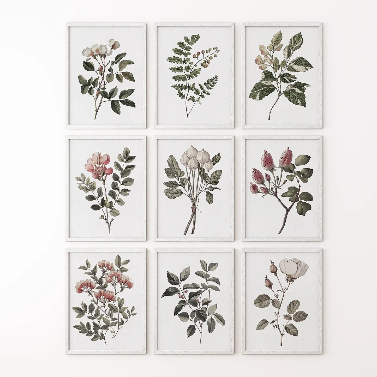 Set of 9 Botanical Posters. Vintage Flowers Wall Art