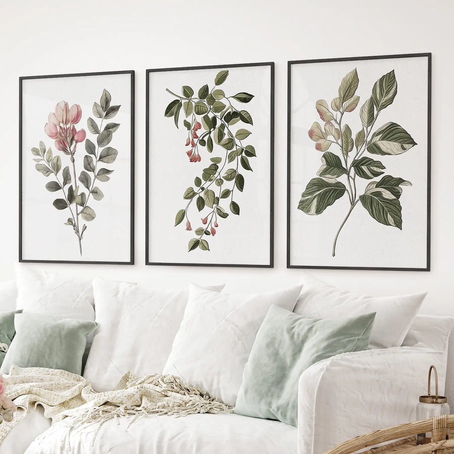 Floral Set of 3 Piece Wall Art. Magnolia, Honeysuckle Prints