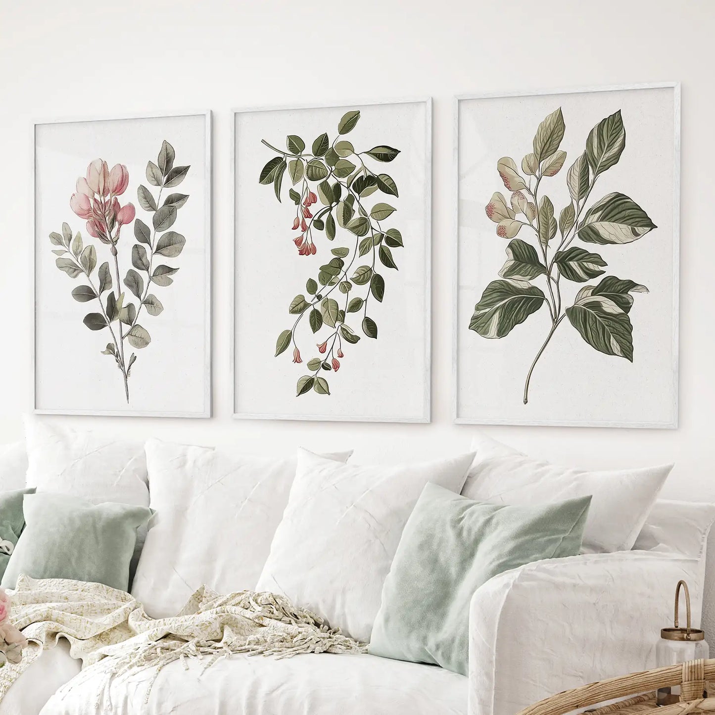 Floral Set of 3 Piece Wall Art. Magnolia, Honeysuckle Prints