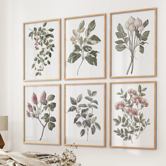 Botanical Wall Art Set of 6 Prints. Rosehip Decor