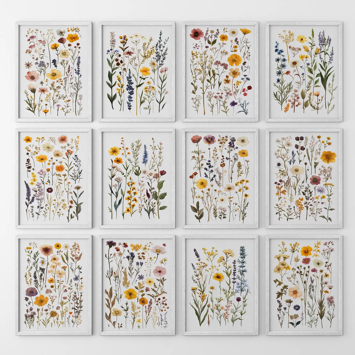 Pressed Flower Art Print Set of 12. Botanical Lithograph