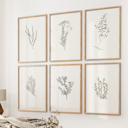 Minimalistic Herb Sketch Prints. Botanical Set of 6