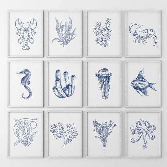 Nautical Modern Marine Life Wall Art. Navy Blue Set of 12