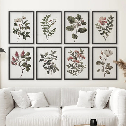 Antique Botanical set of 8 Prints. White Rose Wall Art