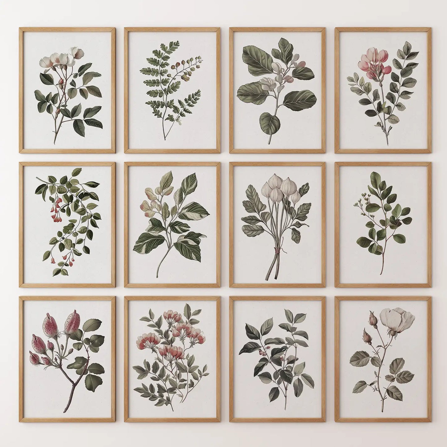 Magnolia, Fuchsia, Fig Plant Prints. Green Set of 12 Wall Art
