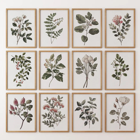 Magnolia, Fuchsia, Fig Plant Prints. Green Set of 12 Wall Art