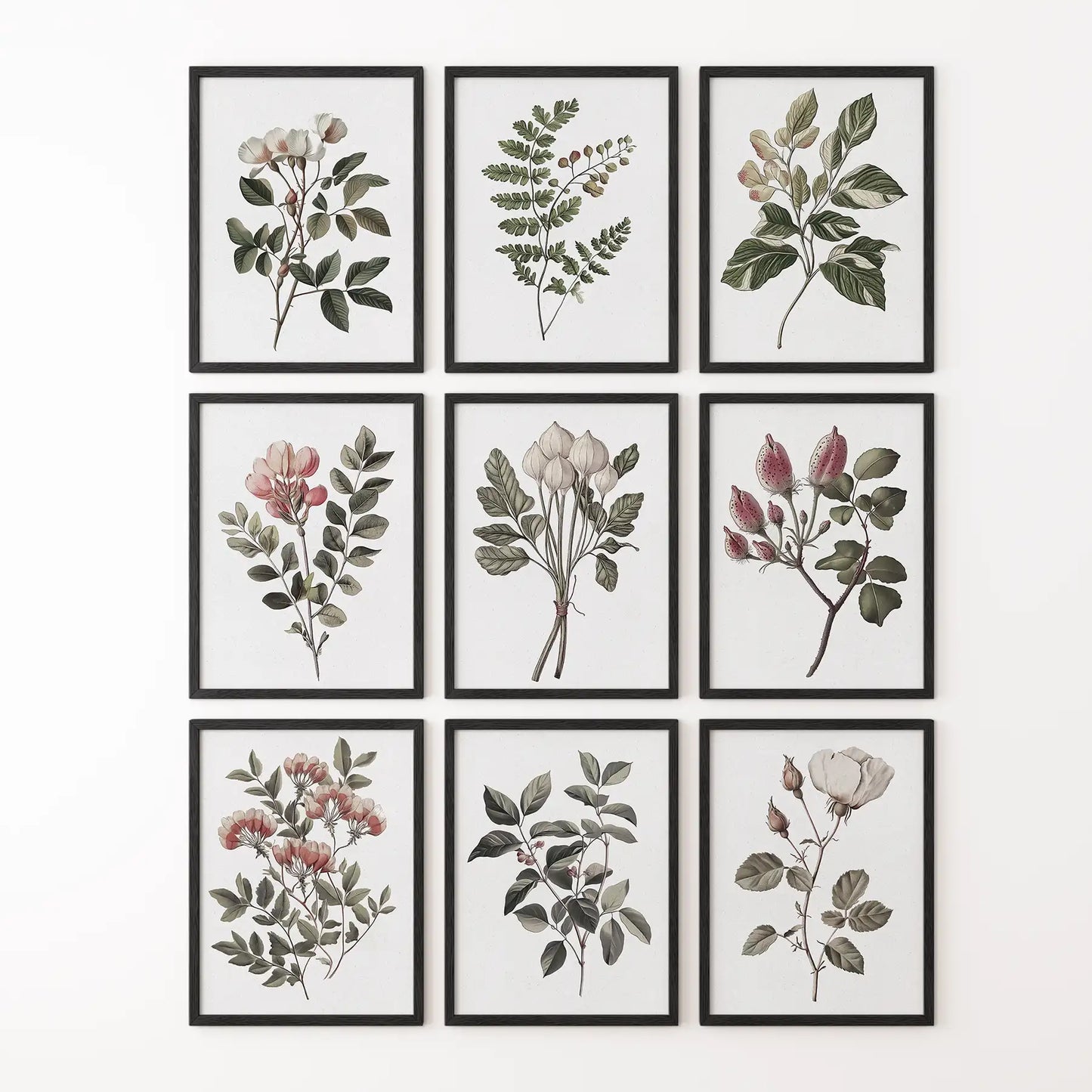 Set of 9 Botanical Posters. Vintage Flowers Wall Art