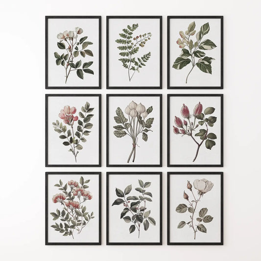 Set of 9 Botanical Posters. Vintage Flowers Wall Art