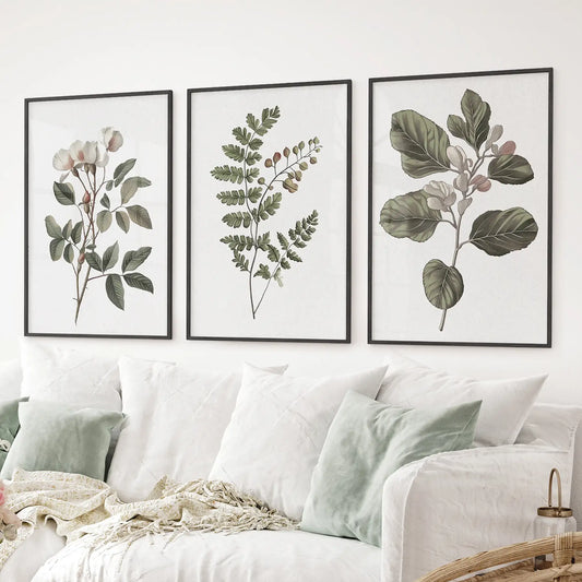 Minimalist Lithographic Plants Prints. 3 Piece Botanical Art