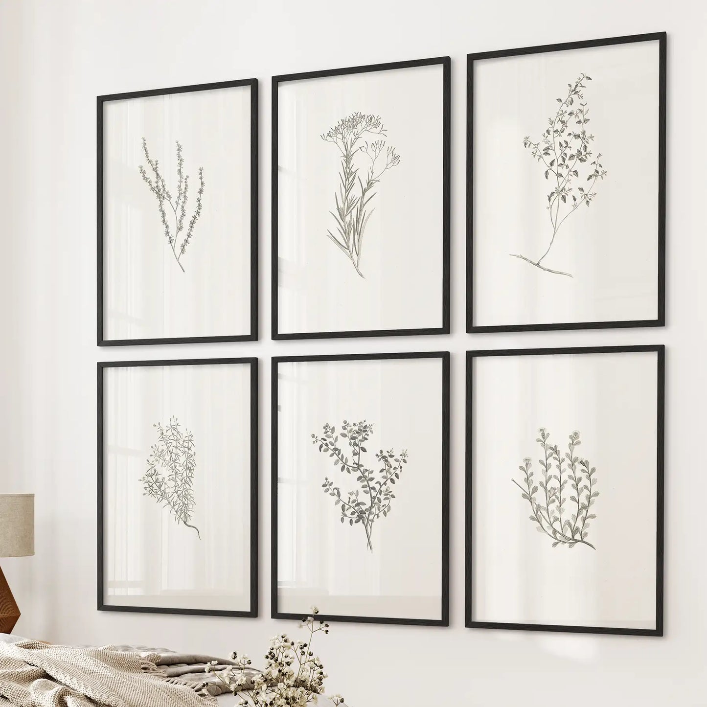 Minimalistic Herb Sketch Prints. Botanical Set of 6