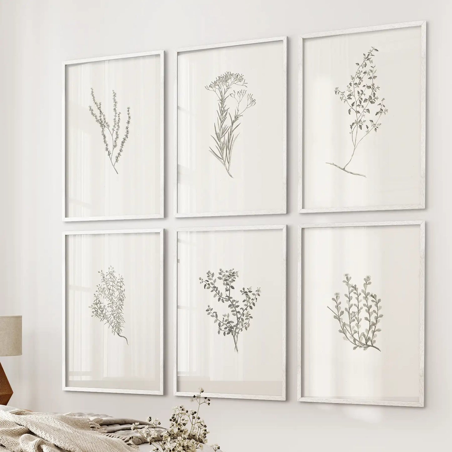 Minimalistic Herb Sketch Prints. Botanical Set of 6